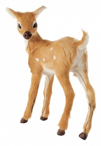 realanimal_005